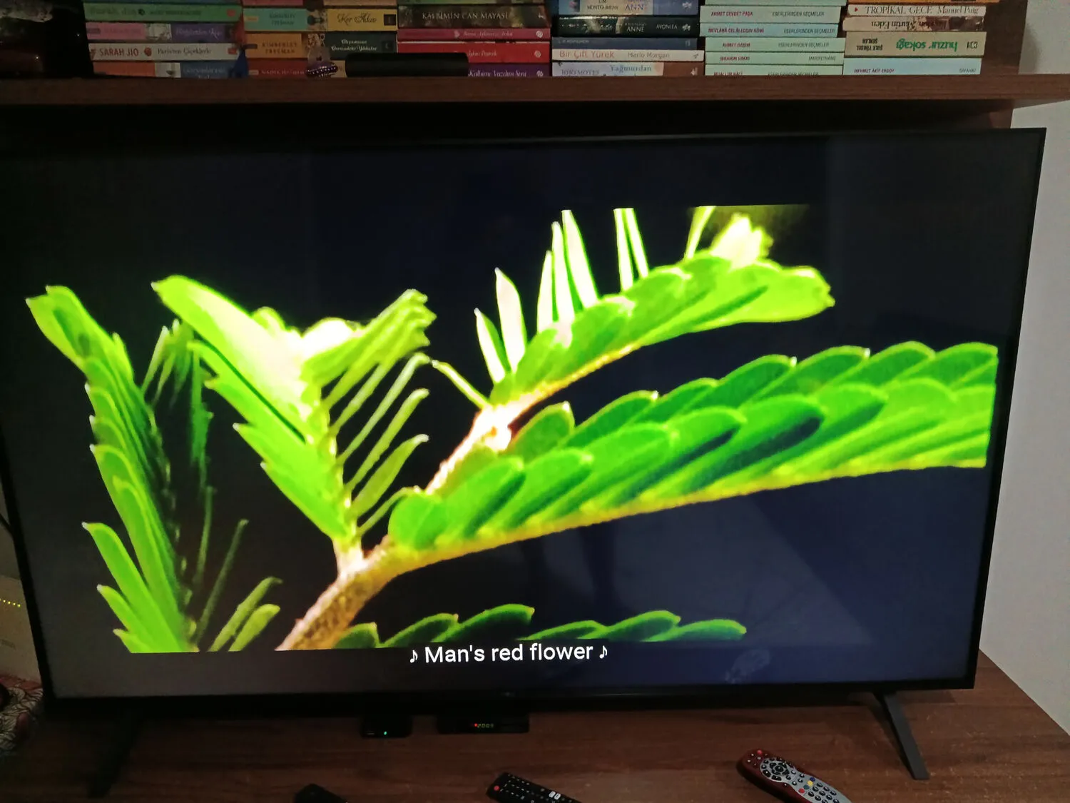 LG 55UA84006LB 55” 139 Ekran Uydu Alıcılı 4K Ultra HD Smart LED TV